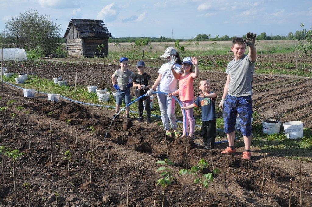 Высадка кустарника.jpg Высадка кустарника.jpg