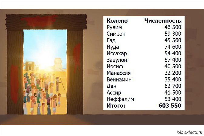 Число мужчин старше 20 лет.jpg Число мужчин старше 20 лет.jpg